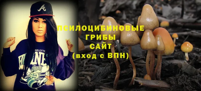 Галлюциногенные грибы Psilocybe  магазин продажи наркотиков  Далматово 